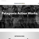 Credit: Patagonia Action Works website